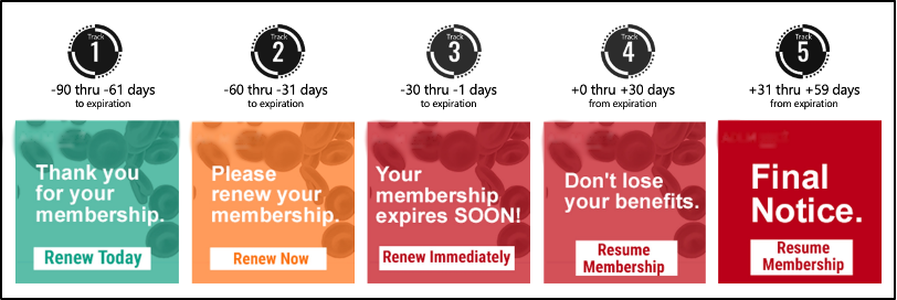 Digital Ad Examples for Renewal Campaign